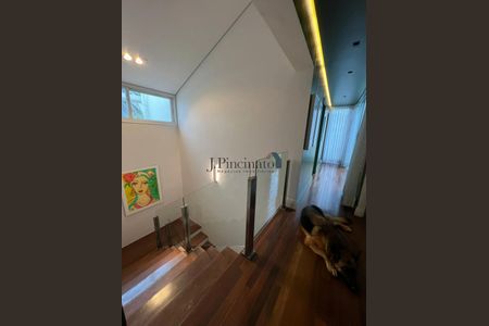 8_photo/94cf25e711.782b6989a3edcf06-ATLAS-e545b00a-ddc4-4923-b3b5-4b638938835f.jpg de casa à venda com 5 quartos, 315m² em Cidade Santos Dumont, Jundiaí