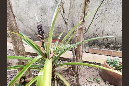 32_photo/94cf25f1bb.4bd2615f33144f40-ATLAS-8eb1f141-770d-4e2b-8181-b8c2b8bceed4.jpg de casa à venda com 3 quartos, 140m² em Vila Marlene, Jundiaí