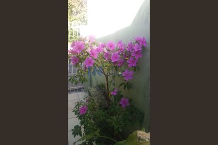 6_photo/94cf26375d.9803aeba41cbaf1e-ATLAS-6e2db893-1d2e-4a37-9c90-c8e841c95f14.jpg de casa à venda com 5 quartos, 158m² em Parque Sao Luiz, Jundiaí