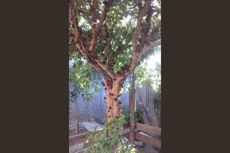 10_photo/94cf26375d.9803aeba41cbaf1e-ATLAS-a934736a-fd32-4d1d-85e4-1e55f0fb67f3.jpg de casa à venda com 5 quartos, 158m² em Parque Sao Luiz, Jundiaí