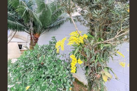 7_photo/94cf2649f1.4f01e810a805cb87-ATLAS-1ab21d0c-5e2a-4b02-a048-7c7200f8f1ee.jpg de casa à venda com 3 quartos, 470m² em Terras de São Carlos, Jundiaí