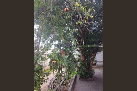 6_photo/94cf26895f.babca6c7f82b9010-ATLAS-4e83868d-d8c3-4835-bb69-de096c3553d1.jpg de casa à venda com 3 quartos, 209m² em Centro, Jundiaí