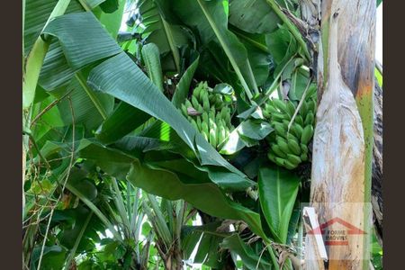 28_photo/94cf26a4a7.2a17df7df6ae08cb-ATLAS-1c782d72-ae4c-4e56-b302-21e551ae0b65.jpg de casa à venda com 3 quartos, 320m² em Jardim Paulista I, Jundiaí