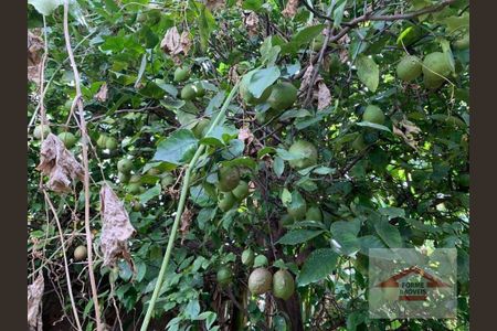 33_photo/94cf26a4a7.2a17df7df6ae08cb-ATLAS-37444b9a-acbf-46f5-8ad1-086be9c4e5fe.jpg de casa à venda com 3 quartos, 320m² em Jardim Paulista I, Jundiaí