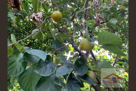 30_photo/94cf26a4a7.2a17df7df6ae08cb-ATLAS-999ac6bf-b435-4c59-b585-5ca3f3a8674d.jpg de casa à venda com 3 quartos, 320m² em Jardim Paulista I, Jundiaí