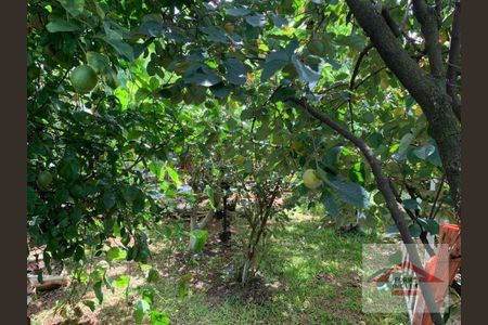 34_photo/94cf26a4a7.2a17df7df6ae08cb-ATLAS-afe3a75f-20c3-40df-9c63-d6135c045c59.jpg de casa à venda com 3 quartos, 320m² em Jardim Paulista I, Jundiaí