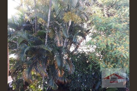 12_photo/94cf26b811.4cea1a0b3f6bbd2f-ATLAS-bd0cbac5-90f0-4c65-ba96-c65aee8906e5.jpg de casa para alugar com 2 quartos, 236m² em Jardim Bonfiglioli, Jundiaí