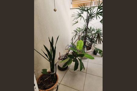 17_photo/94cf26ba5f.08798e92c4495a9b-ATLAS-7679f352-8e72-412e-92f1-fa92e56f2e5a.jpg de casa para alugar com 4 quartos, 179m² em Jardim Messina, Jundiaí