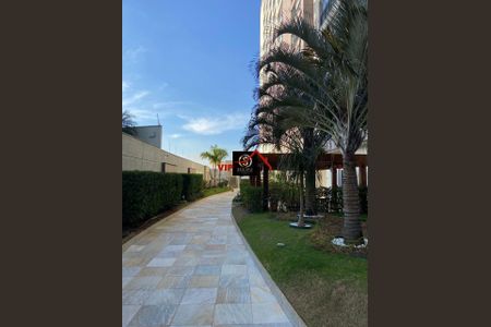 34_photo/94cf26c393.2832257cbb3df2c4-ATLAS-b04bb472-6179-447f-af8a-e4ad1b90989e.jpg de apartamento para alugar com 1 quarto, 49m² em Vila Arens, Jundiaí