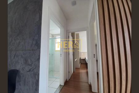 6_photo/94cf26dc41.5b7ea09b69d00f7e-ATLAS-a832ea47-b944-4a3e-a274-fec9d526daf5.jpg de apartamento para alugar com 2 quartos, 45m² em Ponte Sao Joao, Jundiaí