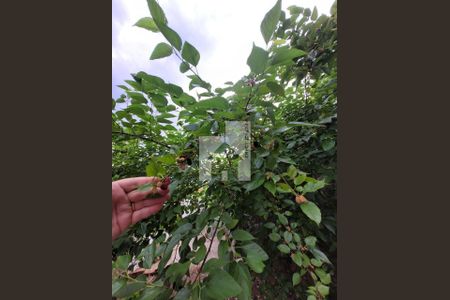 10_photo/94cf26e66f.ceff8192393c33de-ATLAS-6ecf45ba-1de4-4a5a-a42f-30fd8c32ec32.jpg de casa à venda com 2 quartos, 70m² em Ponte Sao Joao, Jundiaí