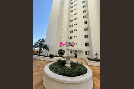 5_photo/94cf26fa21.b045490ff6d4f53d-ATLAS-d991e73d-6be9-4b3b-a039-e3cbc6c51aee.jpg de apartamento para alugar com 2 quartos, 76m² em Ponte Sao Joao, Jundiaí