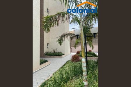 15_photo/94cf27105b.052d4eed47bfc18d-ATLAS-d9b07414-f4b4-4924-9844-84e8314e7ccc.jpg de apartamento para alugar com 2 quartos, 50m² em Jardim Rosaura, Jundiaí