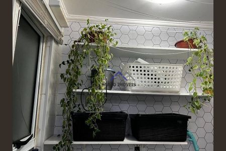 5_photo/94cf272fd9.a1f076f76d7c9ee8-ATLAS-74e20d9e-80f5-4df4-a34f-c4181d3d0609.jpg de apartamento à venda com 3 quartos, 72m² em Jardim Tamoio, Jundiaí