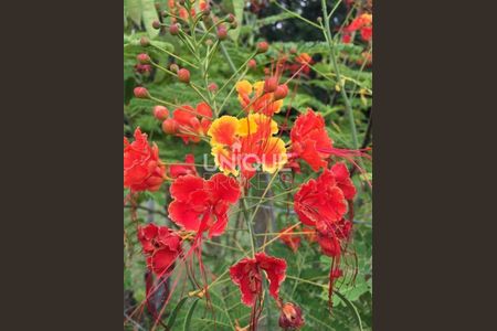 19_photo/94cf2f2faf.c6dd012c5ddbf0d0-ATLAS-4e44e052-6109-45fd-acdb-90bf83782631.jpg de casa à venda com 2 quartos, m² em Rio Acima, Jundiaí