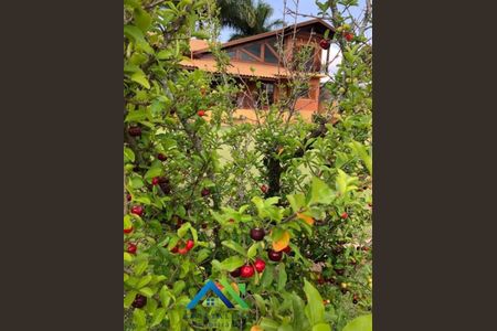 9_photo/94cf3aa1ab.3714cccd63f8fe2d-ATLAS-195eb1b7-3f2e-4008-a893-19be2bde13cd.jpg de casa para alugar com 4 quartos, 1000m² em Jardim Tereza Cristina, Jundiaí