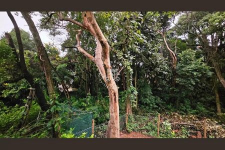 19_photo/94cf3ab28d.d7ff1048839b4df4-ATLAS-fb878c2a-ecd1-40bf-9acb-3f38ef765659.jpg de casa para alugar com 4 quartos, 220m² em Jardim Carolina, Jundiaí