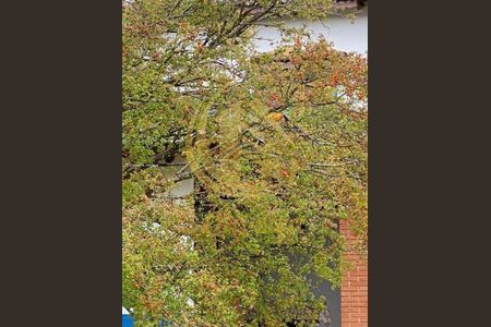 9_photo/94cf3abc77.f861ecc718bdcbd7-ATLAS-6e24940a-7a1f-45f7-b487-715e5aeab53e.jpg de casa à venda com 3 quartos, 347m² em Medeiros, Jundiaí