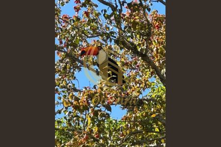 12_photo/94cf3abc77.f861ecc718bdcbd7-ATLAS-7bc0f002-4b75-4209-8325-cb254239e30f.jpg de casa à venda com 3 quartos, 347m² em Medeiros, Jundiaí