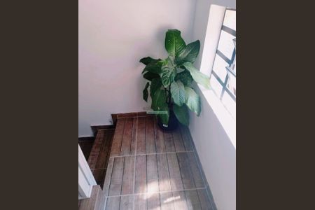 7_photo/94cf3af477.93b8fa184532727f-ATLAS-810b1d3a-5f2c-4585-b4f2-d01b26c194f7.jpg de casa de condomínio à venda com 3 quartos, 252m² em Aglomeração Urbana de Jundiaí, Jundiaí