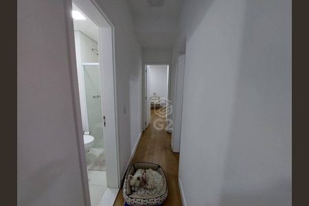 10_photo/94cf4cf433.42a9ecd166b28629-ATLAS-b4ff6d86-5400-4684-babc-d3e0d43bc27b.jpg de apartamento para alugar com 3 quartos, 92m² em Comercial Vitoria Martini, Indaiatuba