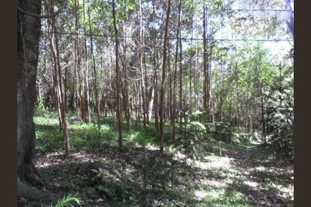 11_photo/94cfa6bc01.ac59da683d20aab1-ATLAS-099abbc4-6df9-435b-8869-cd5e9bfd2406.jpg de casa à venda com 4 quartos, 445m² em Santana, Cotia