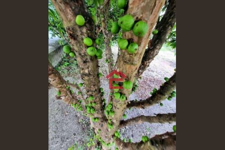 6_photo/94cfa6f779.07f29284d16cc936-ATLAS-d8327cc0-e7df-4c09-8931-e7617bb3929d.jpg de casa à venda com 3 quartos, 300m² em Jardim Sao Luiz (Caucaia do Alto), Cotia