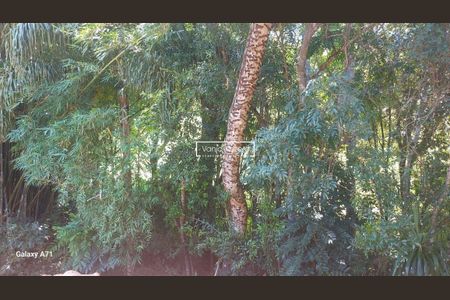 18_photo/94cfa7181b.ab9d896be0e39e09-ATLAS-cf9ca1be-9da7-4ec4-85de-8e9d31920ea0.jpg de casa à venda com 3 quartos, 180m² em Água Espraiada, Cotia