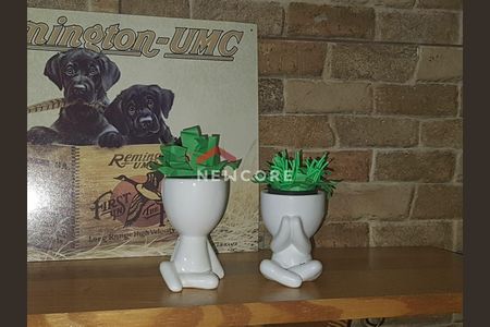 11_photo/94cfa8293d.5b8a8949ddb1dfe8-ATLAS-5aa968d1-690d-4a7f-bd18-c6982ec85131.jpg de casa para alugar com 2 quartos, 80m² em Jardim Isis, Cotia