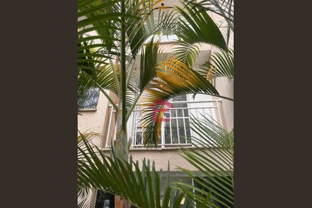 9_photo/94cfa84753.5b208269dfc8c3a8-ATLAS-a2b4e220-d386-4aaf-9156-e99cacd64f20.jpg de apartamento para alugar com 2 quartos, 45m² em Jardim Santa Paula, Cotia