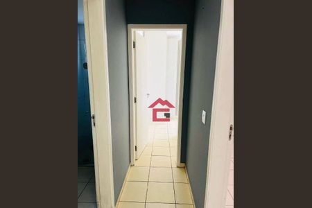 10_photo/94cfa9cf89.7aa723c1de0fcb16-ATLAS-b20333c2-b9d3-4de9-a5d2-9c338eaaf9a1.jpg de apartamento para alugar com 2 quartos, 65m² em Bairro Jardim Nossa Senhora das Graças, Cotia