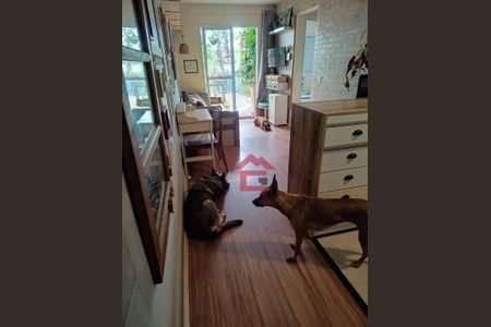 12_photo/94cfa9cff1.a859de897fa90b1b-ATLAS-1d9bee65-7d05-4ddf-8e02-c932ec01e18d.jpg de apartamento à venda com 2 quartos, 96m² em Bairro Jardim Nossa Senhora das Graças, Cotia