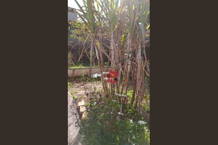 10_photo/94cfa9d8e3.9612c2c0390caf5f-ATLAS-9ac40b3f-f08d-4c2f-b8ba-d84df97e49be.jpg de casa à venda com 4 quartos, 166m² em Jardim Miranda, Cotia