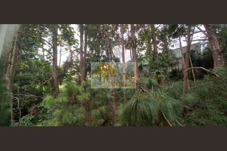 3_photo/94cfa9e7d1.6ea49f2b960d546a-ATLAS-3d181c8d-f1a2-4e80-801f-406614e8af02.jpg de apartamento à venda com 2 quartos, 50m² em Bairro Jardim Nossa Senhora das Graças, Cotia