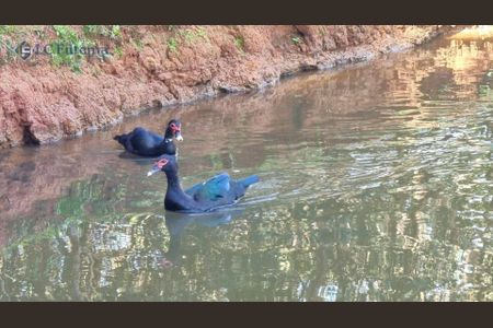 30_photo/94cfa9e7d9.cc7236c2711dd29d-ATLAS-9f24cd91-dbfd-45f8-bc15-78ff73f98e3c.jpg de casa à venda com 3 quartos, 180m² em Quinta dos Angicos, Cotia