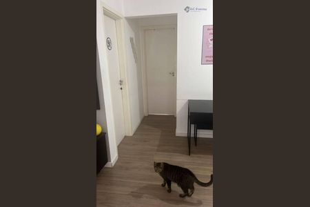 18_photo/94cfa9f1e1.860dfae93c23eefd-ATLAS-ba8f3507-8c8d-44e5-8db6-758e714fc6e9.jpg de apartamento à venda com 2 quartos, 47m² em Quinta dos Angicos, Cotia