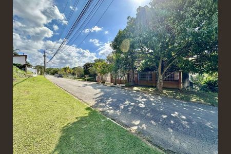 11_photo/94cfa9fa2d.ceff8192393c33de-ATLAS-3e6636e1-6e66-430f-8a8b-7027fa832982.jpg de casa para alugar com 5 quartos, 650m² em Parque Dom Henrique, Cotia