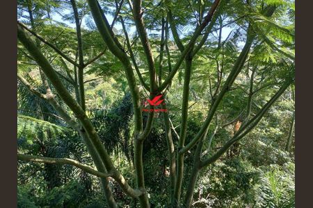 43_photo/94cfaa0a81.56e57e7f85748bee-ATLAS-477e95aa-77fc-4fd2-842b-3492b8ff3924.jpg de apartamento para alugar com 2 quartos, 57m² em Parque Rincao, Cotia