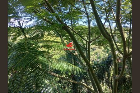 41_photo/94cfaa0a81.56e57e7f85748bee-ATLAS-5ea6694d-4715-4836-84ef-e649e480e499.jpg de apartamento para alugar com 2 quartos, 57m² em Parque Rincao, Cotia