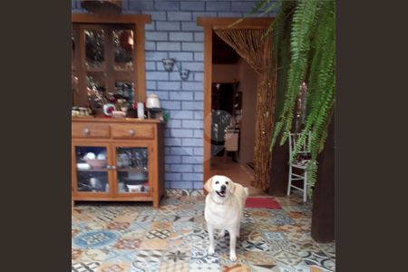 9_photo/94cfaa2b85.e1489b31bea9b081-ATLAS-217a7bc6-d0a9-4e71-a990-751fd257fac5.jpg de casa à venda com 3 quartos, 450m² em Condomínio Meu Recanto, Embu das Artes