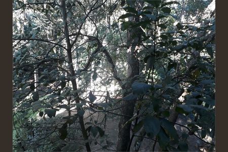 10_photo/94cfaa2b85.e1489b31bea9b081-ATLAS-2284dc7a-03e6-49c3-8852-9fcf71f9d09c.jpg de casa à venda com 3 quartos, 450m² em Condomínio Meu Recanto, Embu das Artes