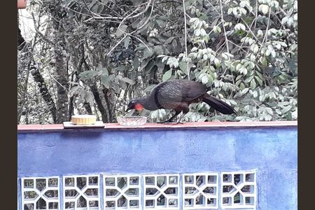 12_photo/94cfaa2b85.e1489b31bea9b081-ATLAS-2b44e9e7-28a7-4336-a9de-06bc5e7d2cbb.jpg de casa à venda com 3 quartos, 450m² em Condomínio Meu Recanto, Embu das Artes