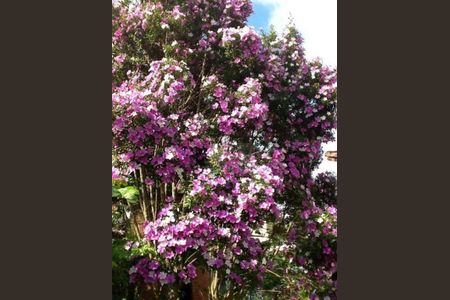 6_photo/94cfaa425b.6c2488a1ef1eec95-ATLAS-43e3b121-a34d-4f08-8fa0-c43d5545ede0.jpg de casa à venda com 2 quartos, 184m² em Paisagem Renoir, Cotia