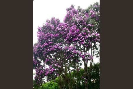 2_photo/94cfaa425b.6c2488a1ef1eec95-ATLAS-5a2264db-7d8d-46df-b53a-973ba90b4bf1.jpg de casa à venda com 2 quartos, 184m² em Paisagem Renoir, Cotia