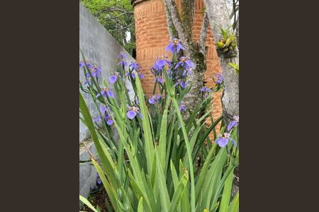 3_photo/94cfaa425b.6c2488a1ef1eec95-ATLAS-a6f30e8a-b16a-4171-a0c5-b7b9c199e5bc.jpg de casa à venda com 2 quartos, 184m² em Paisagem Renoir, Cotia