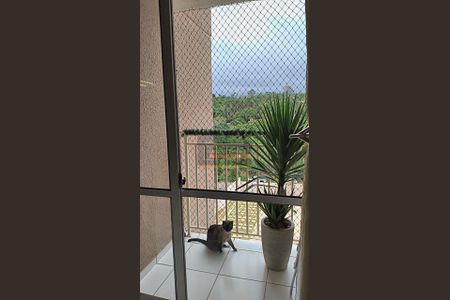 11_photo/94cfaa5ab3.7d329d169079111e-ATLAS-ae8d81b0-342e-4bcb-8568-e8fab4d6821c.jpg de apartamento para alugar com 2 quartos, 46m² em Granja Viana, Cotia