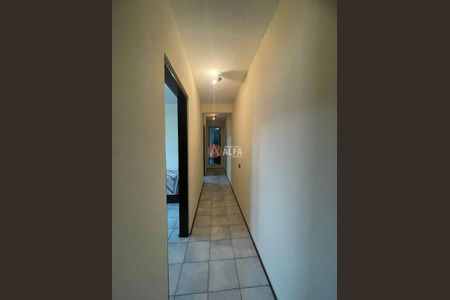 8_photo/94cfaa79df.4cb36fa8bd7c581d-ATLAS-507e98b9-f6b9-4cd6-8a98-4515bce08474.jpg de casa para alugar com 3 quartos, 110m² em Parque Alexandre, Cotia