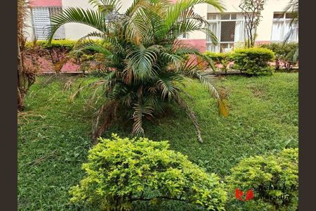 21_photo/94cfaa7f2b.091db2469dc86bf1-ATLAS-f5aee6e6-53be-4487-8379-9bbb4d7c96f3.jpg de apartamento para alugar com 3 quartos, 87m² em Granja Viana, Cotia