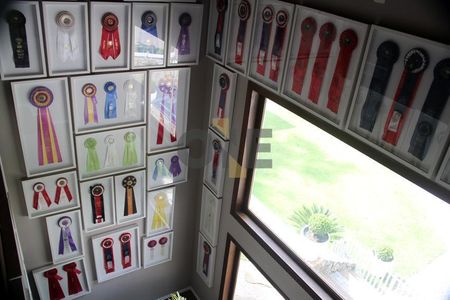 7_photo/94cfaa8e9f.f9fd596f8c1c84e9-ATLAS-9e3f98c3-78ba-4619-b853-df0d6b63d930.jpg de casa à venda com 2 quartos, 850m² em Jardim Torino, Cotia