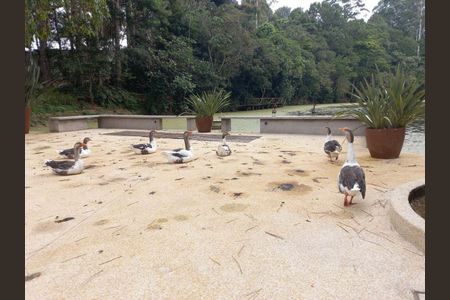 5_photo/94cfaa9ea3.b63fb19834d8465e-ATLAS-3b806dd8-84d4-41f2-b484-553951e0ed8c.jpg de casa de condomínio à venda com 3 quartos, 505m² em Jardim Mediterraneo, Cotia